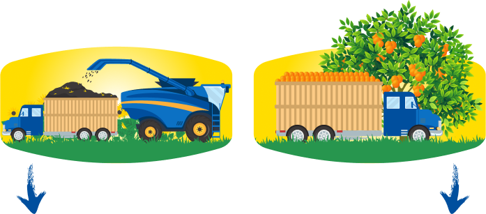 Transport des récoltes des agriculteurs